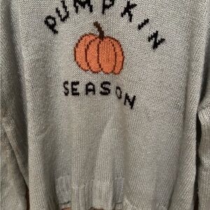 Wooden Ships Gray Pumpkin Sweater Sz S/M